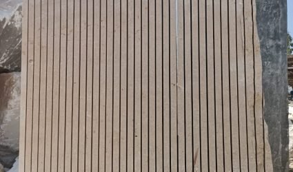 WhatsApp Image 2025-03-18 at 6.16.24 AM (1)